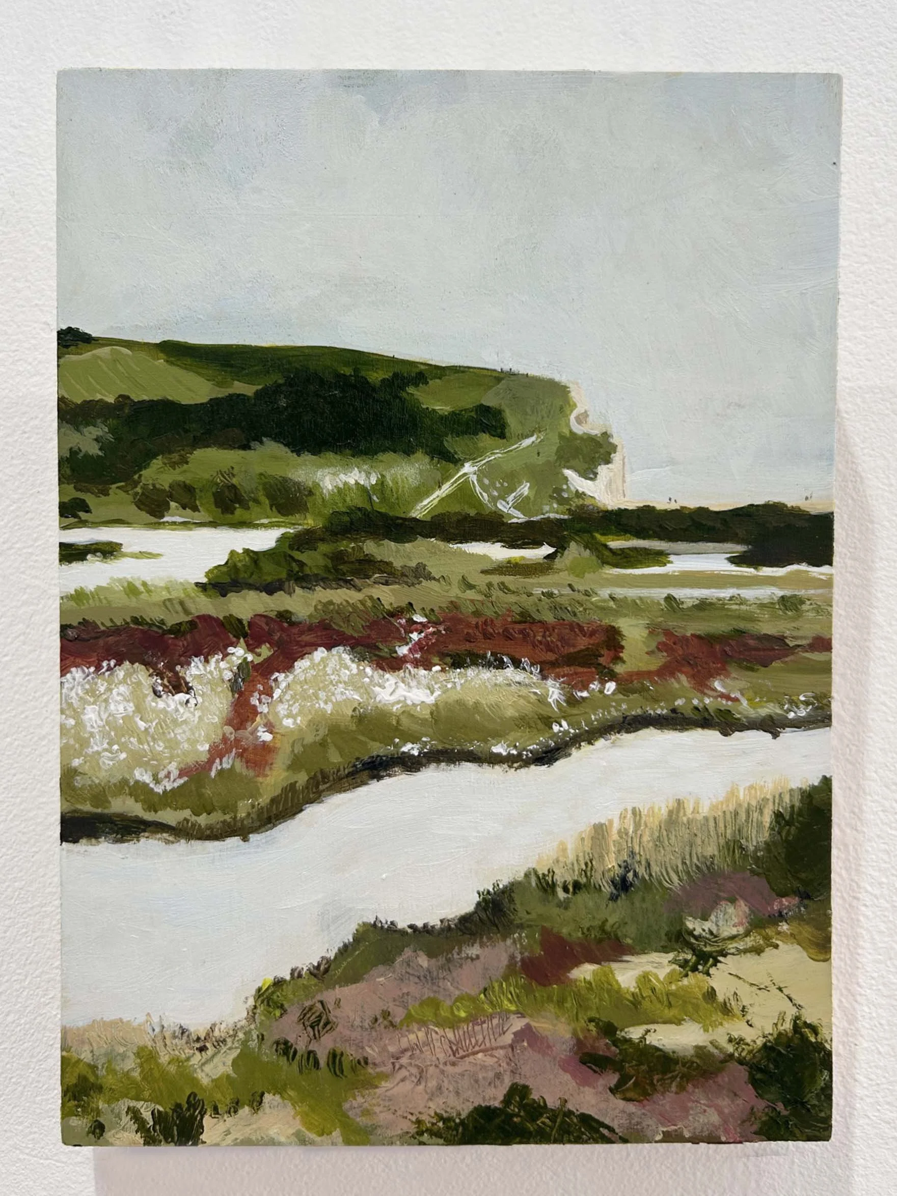 Seven Sisters Country Park Study Kate Cronk.jpg