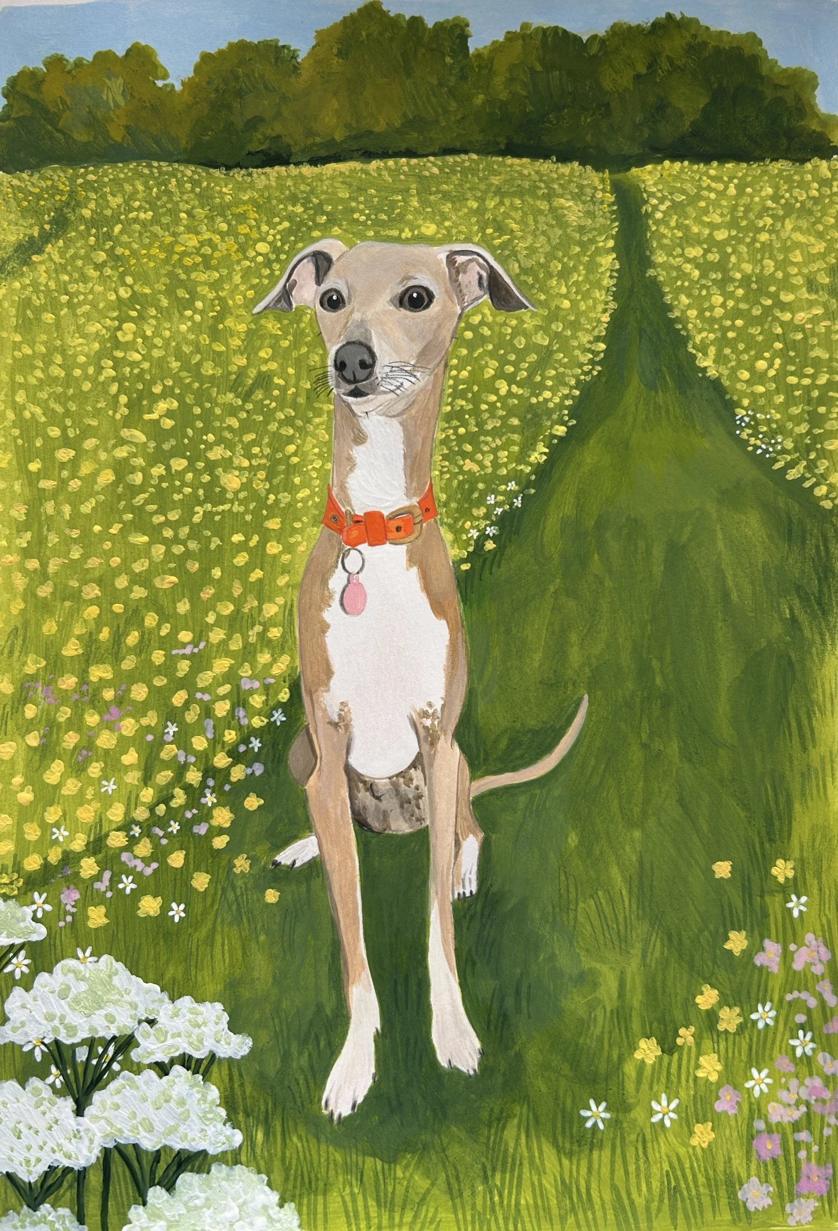 Custom watercolor and gouache pet portrait of a whippet, hand-painted from a reference photo — unique, bespoke pet artwork gift.