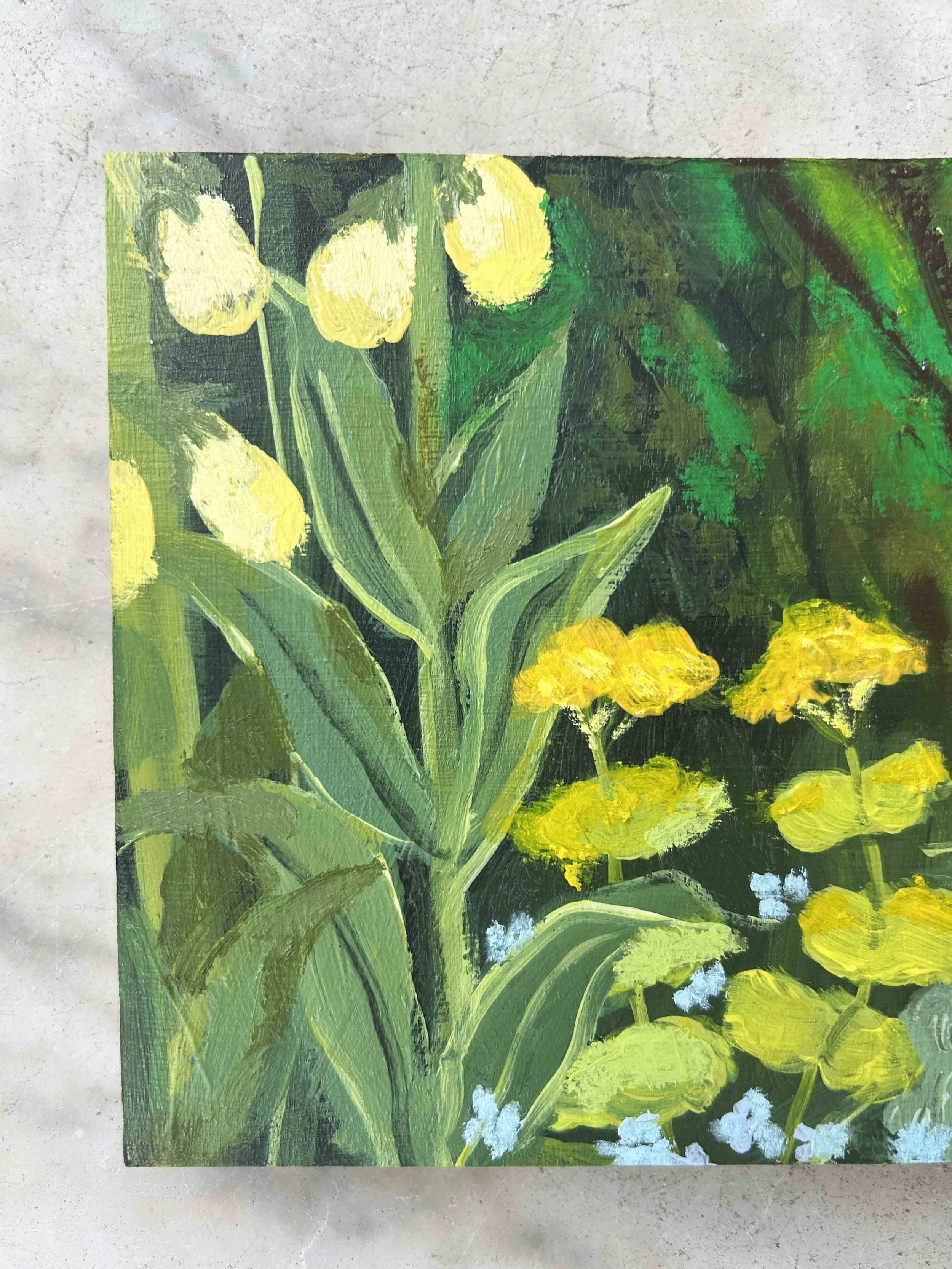 Ladybird Poppy 3 close up side kate cronk.jpg