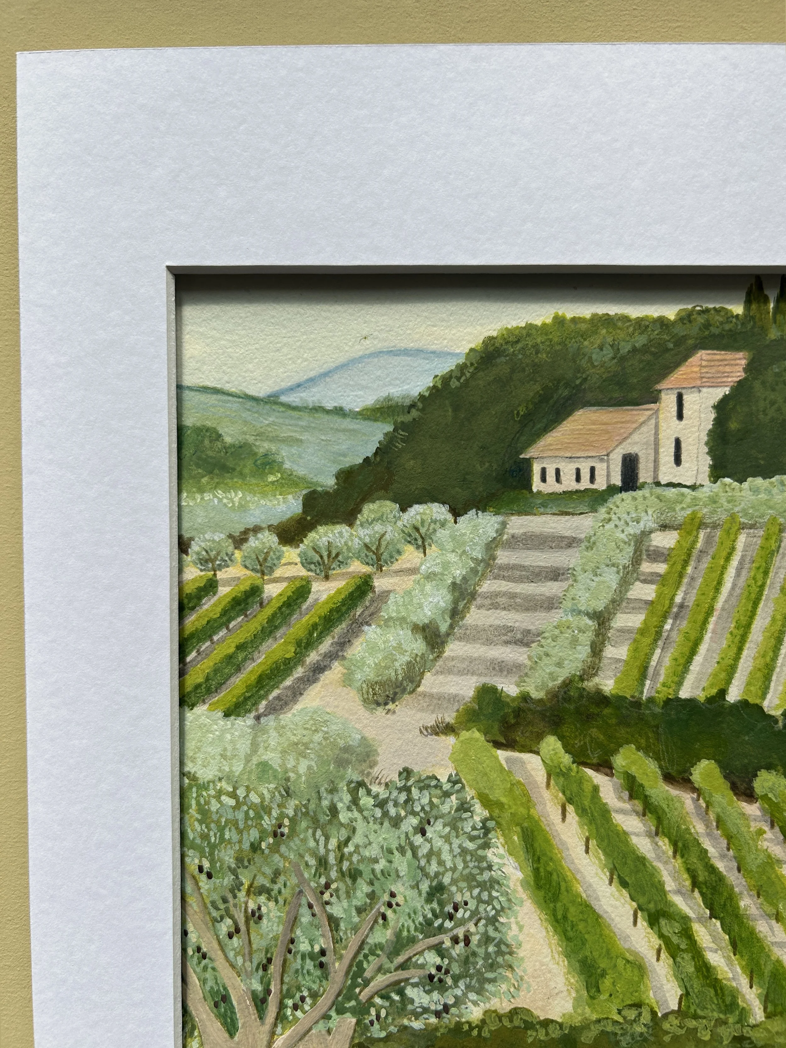 Vineyard with mount.jpg