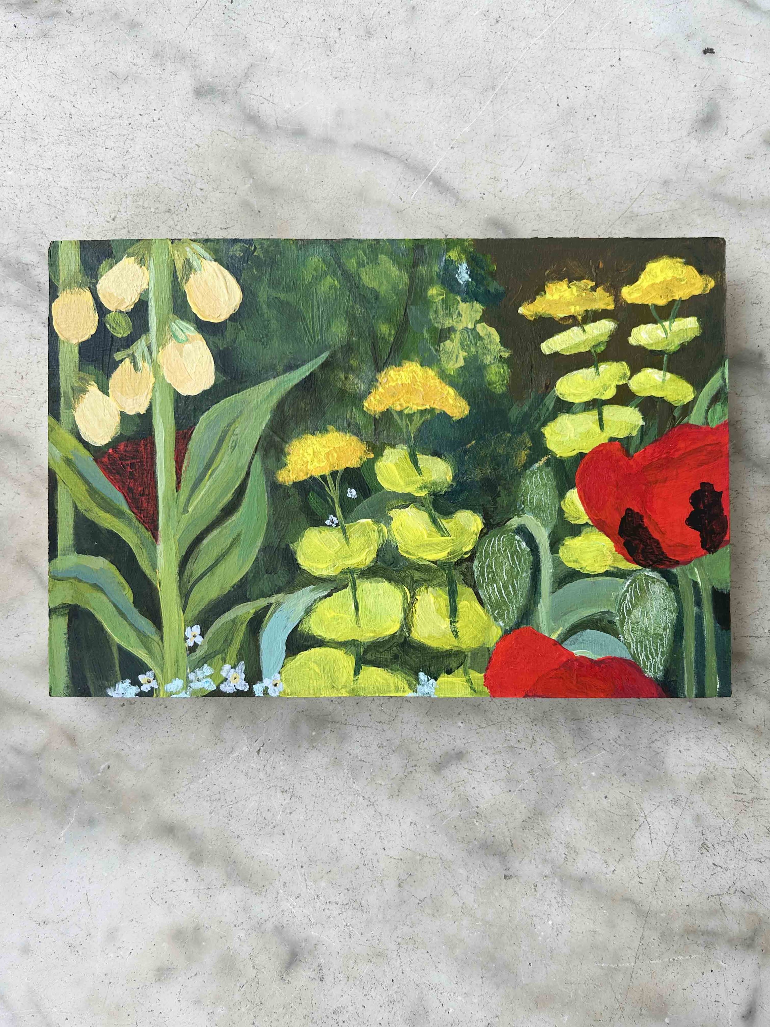 ladybird full image kate cronk.jpg
