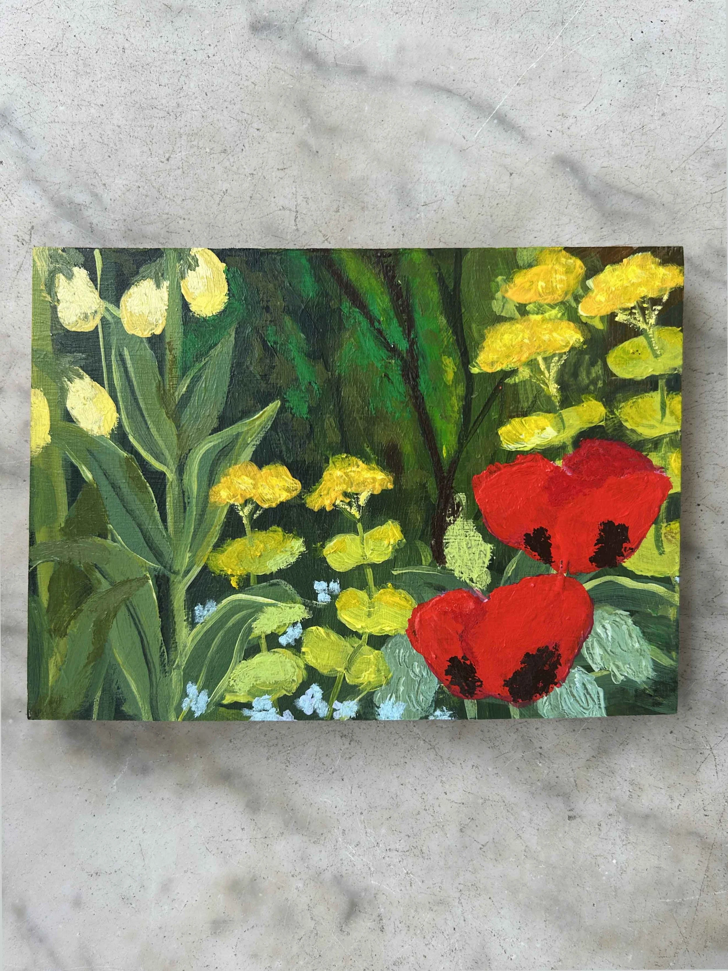 Ladybird poppy 3 full image.jpg
