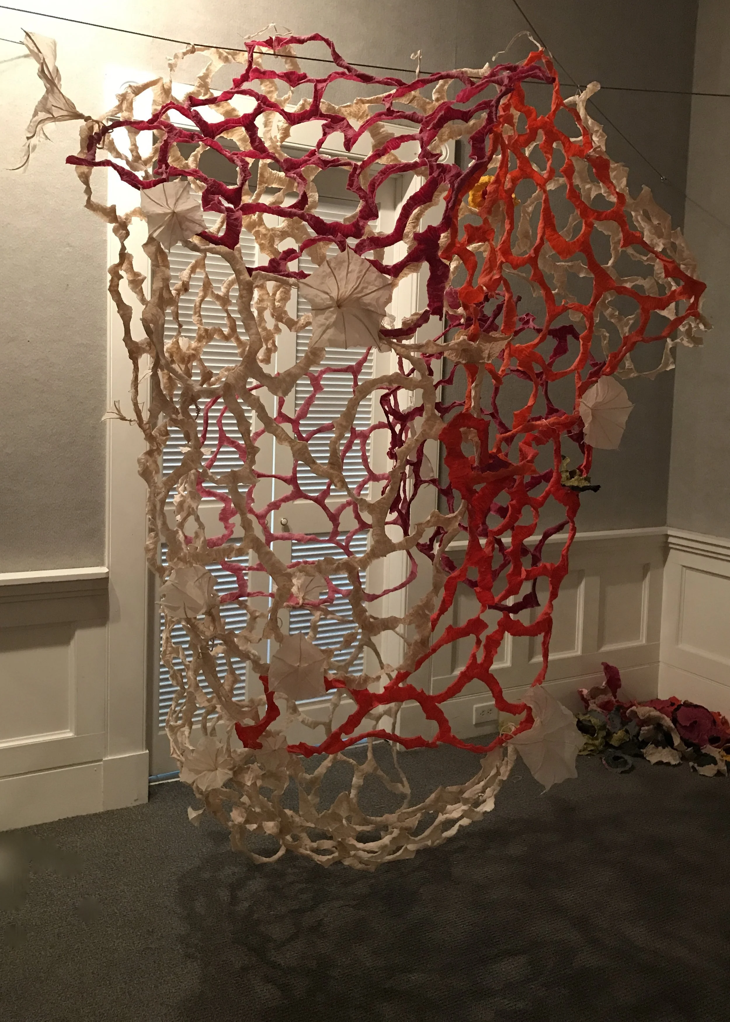 "it bloomed at night"