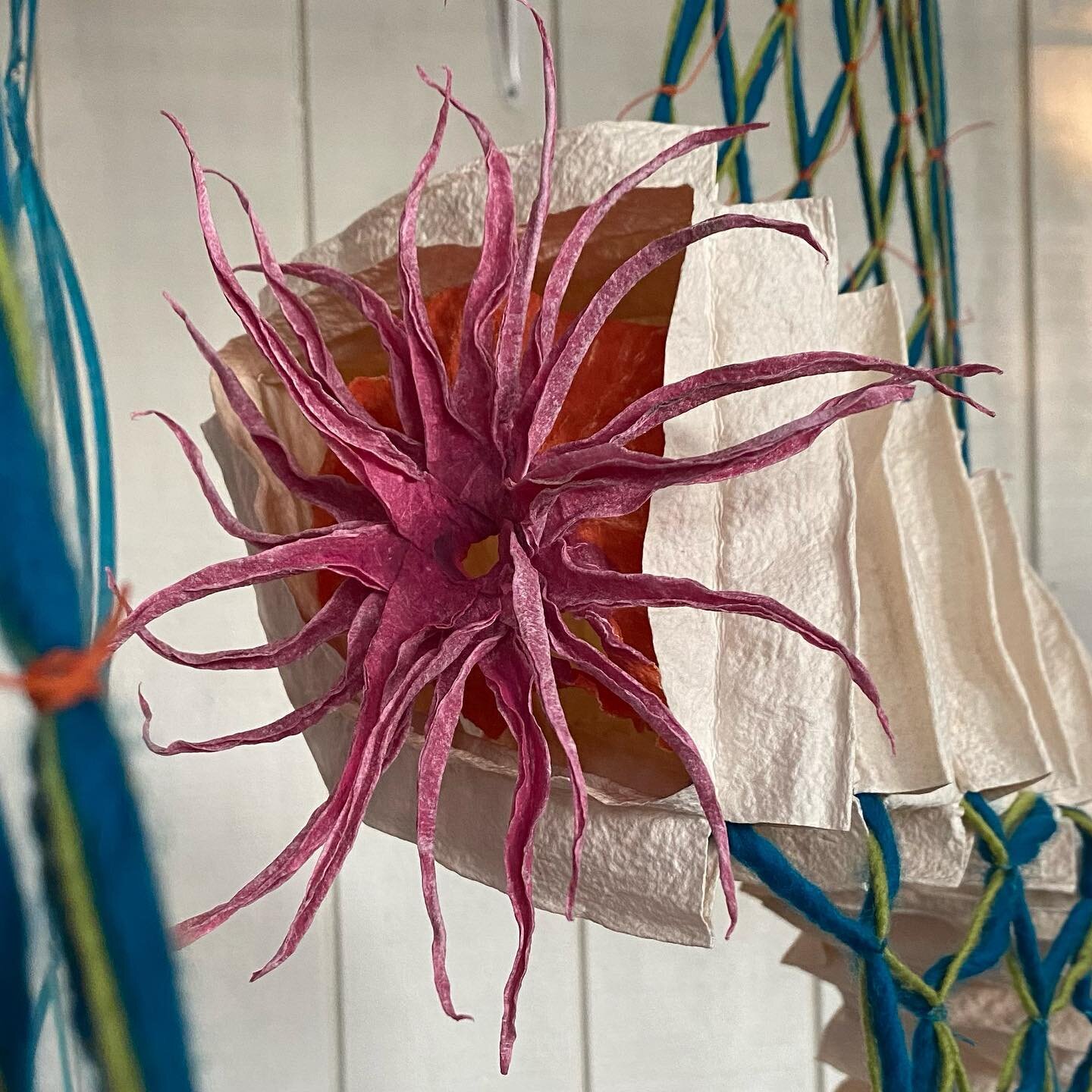 My #interpretation of #Psammophile, the winning word challenge at this year&rsquo;s #scrippsnationalspellingbee #capture #nature in #handmadepaper #sculpture #installation @quadcityarts @iowaartscouncil @iapma