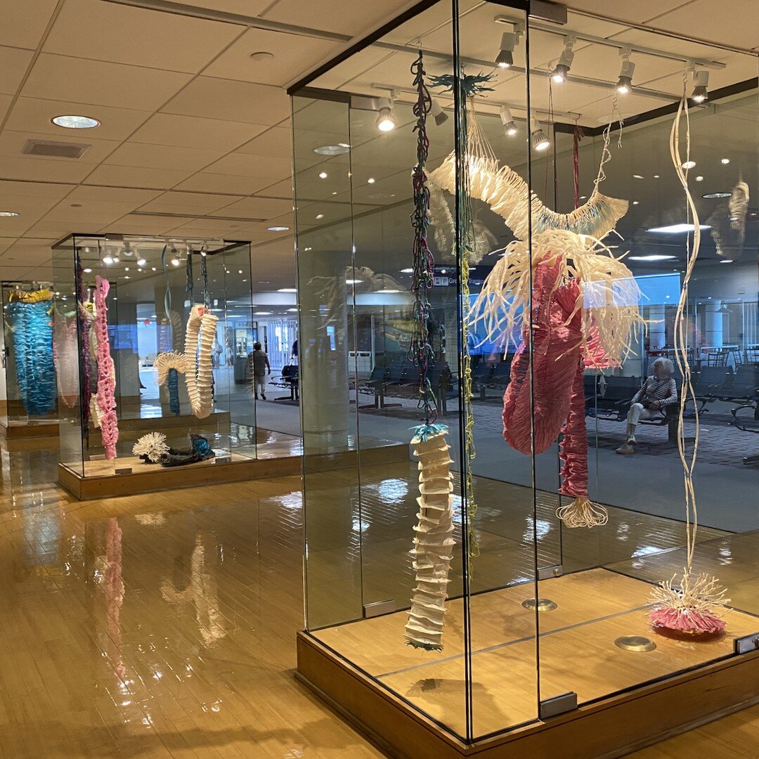 On-site Quad Cities Airport. Thank you @quadcityarts for taking me in, out, and through. That's Mom in the background. #handmadepaper #abaca #wool #sculpture #installation #publicart @iapma