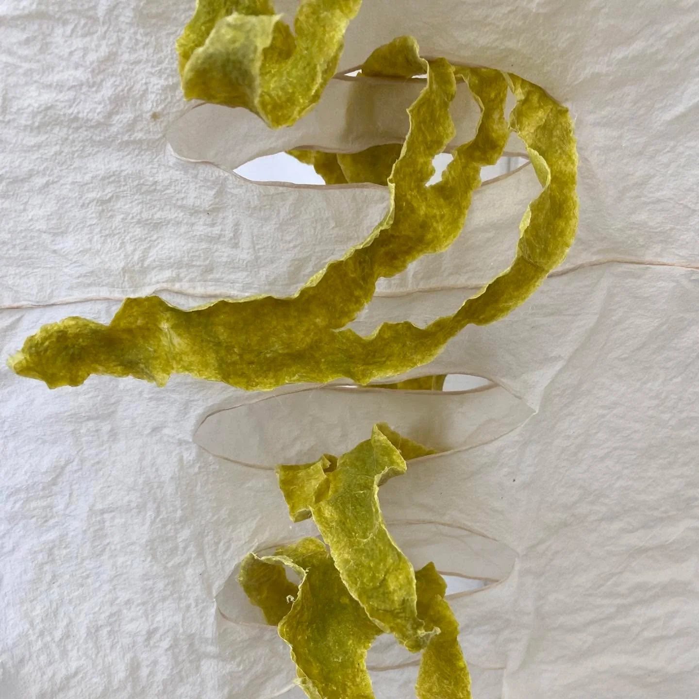 Sometimes you just have to fill a negative space with growth.