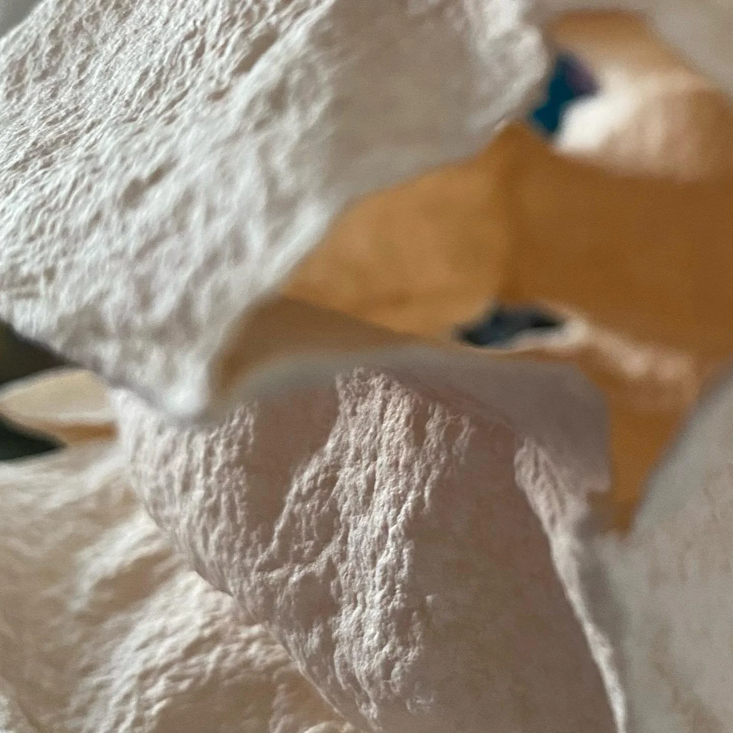 A #mobiusstrip of thought. Seeing the in reflect the out.