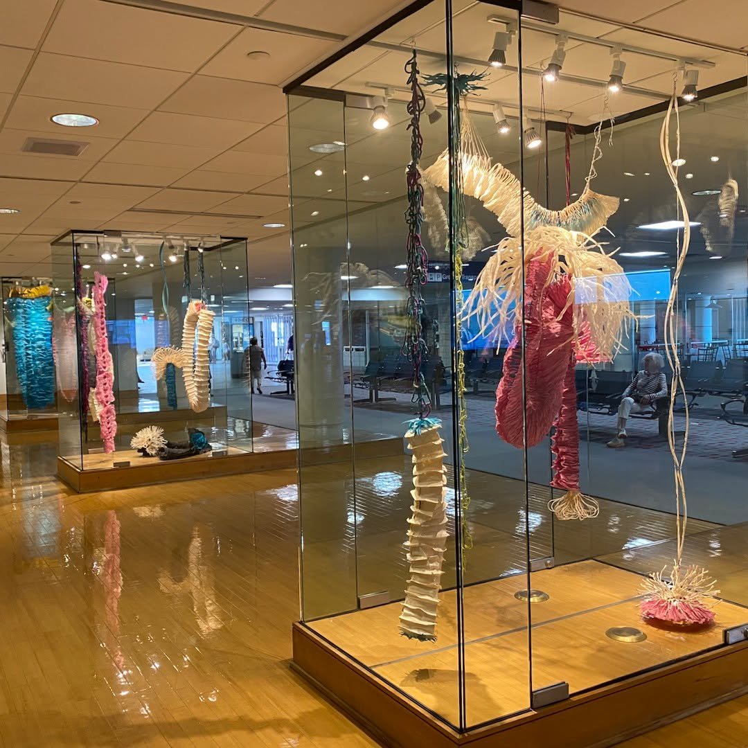 On-site Quad Cities Airport. Thank you @quadcityarts for taking me in, out, and through. That's Mom in the background. #handmadepaper #abaca #wool #sculpture #installation #publicart @iapma