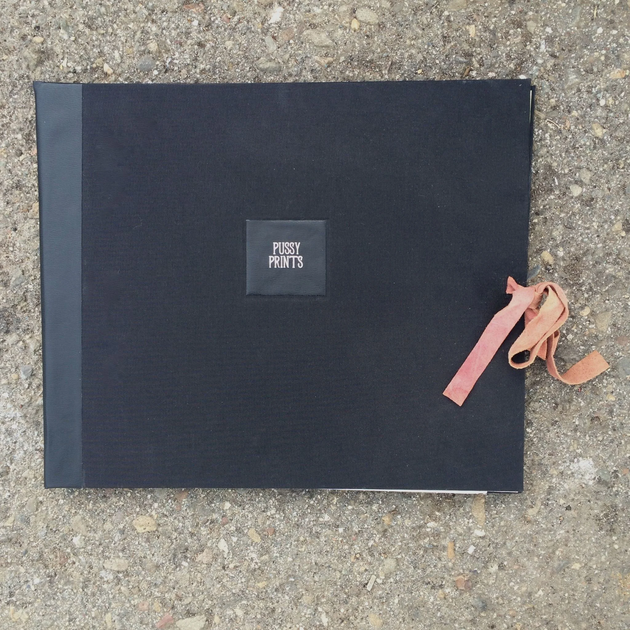 Pussy Portfolio.jpg