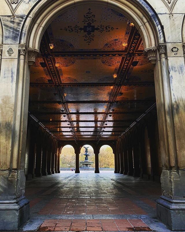 My entire feed is made up of photos of a single person, but now that&rsquo;s even hard to come by in New York, but we&rsquo;ll get through this terrible pundemic together...apart. 
#nopeopleinframe #architecturephotography #architecture #centralpark 