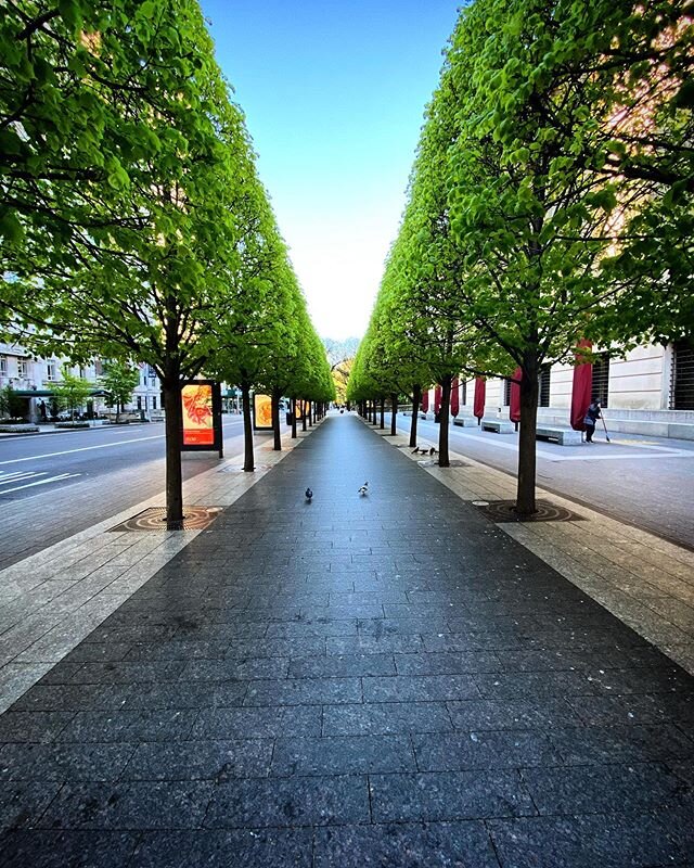 I never MET a perfectly symmetrical row of trees I didn&rsquo;t like. The quiet upper east side was even quieter this weekend. 
#newyork #covid19 #emptystreets #nyc #iheartnyc #longwalks #symmetryhunters #symmetry #symmetrykillers #coronavirus