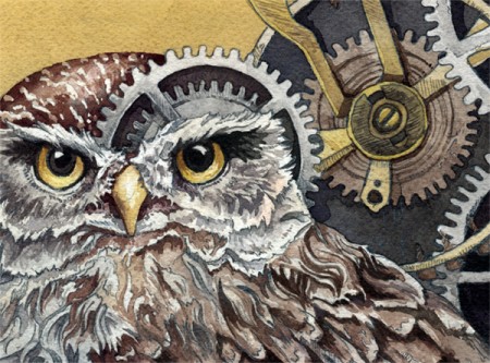 The Little Owl Detail 1