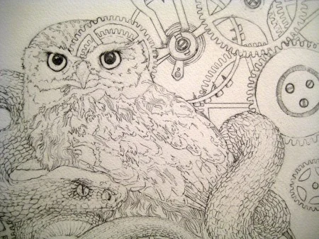 The Little Owl Process 1