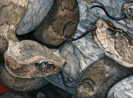 No Safe Place - Detail 2
