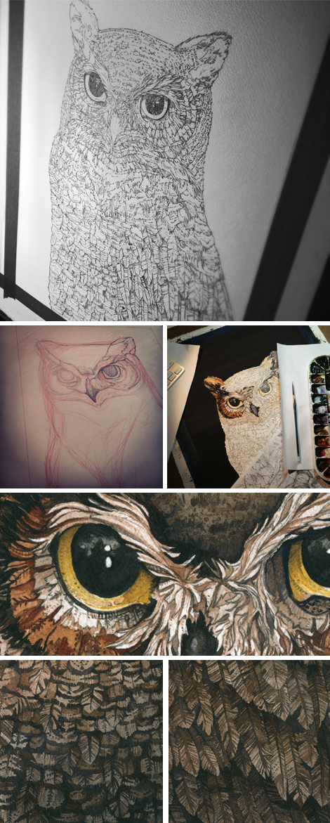 Owl_Website_Blog