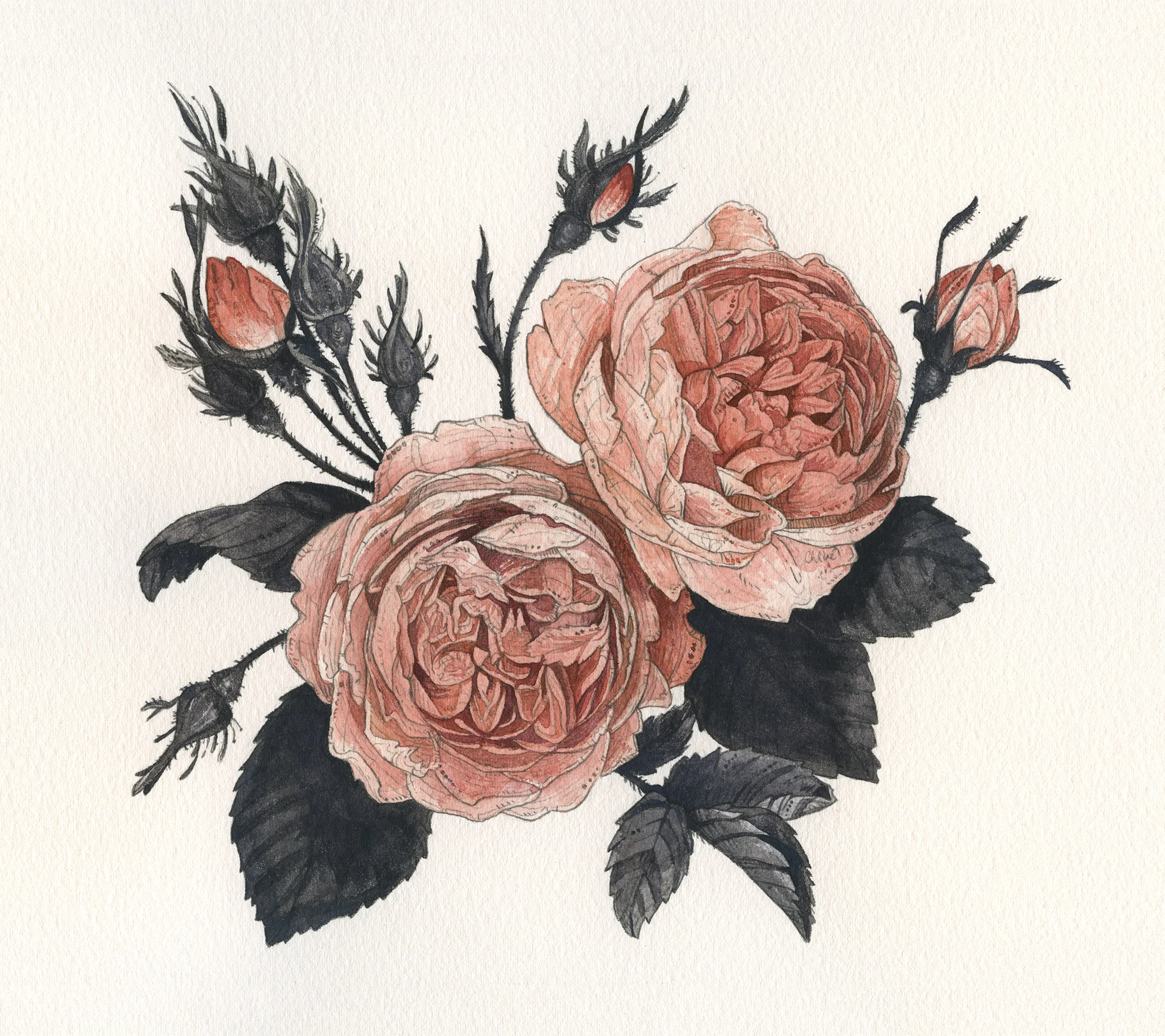 Maura Rose | Maura Rose Kampa Scholarship