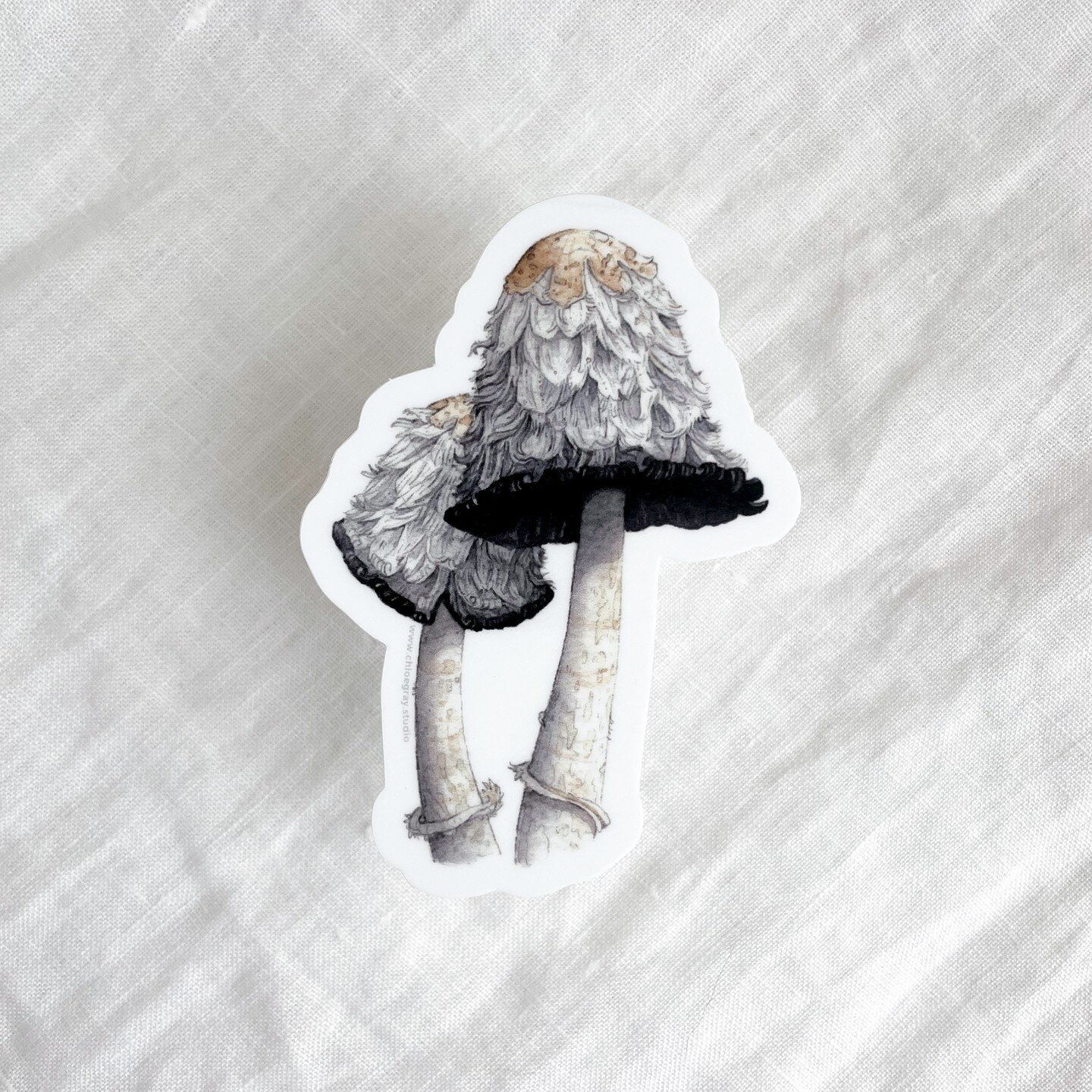 I've got another mushroom sticker for ya! $4 each.

This mushroom is commonly called a shaggy mane or an inky cap. The gills beneath the cap start off white, then turn pink, and finally turn black while secreting an inky black liquid filled with spor