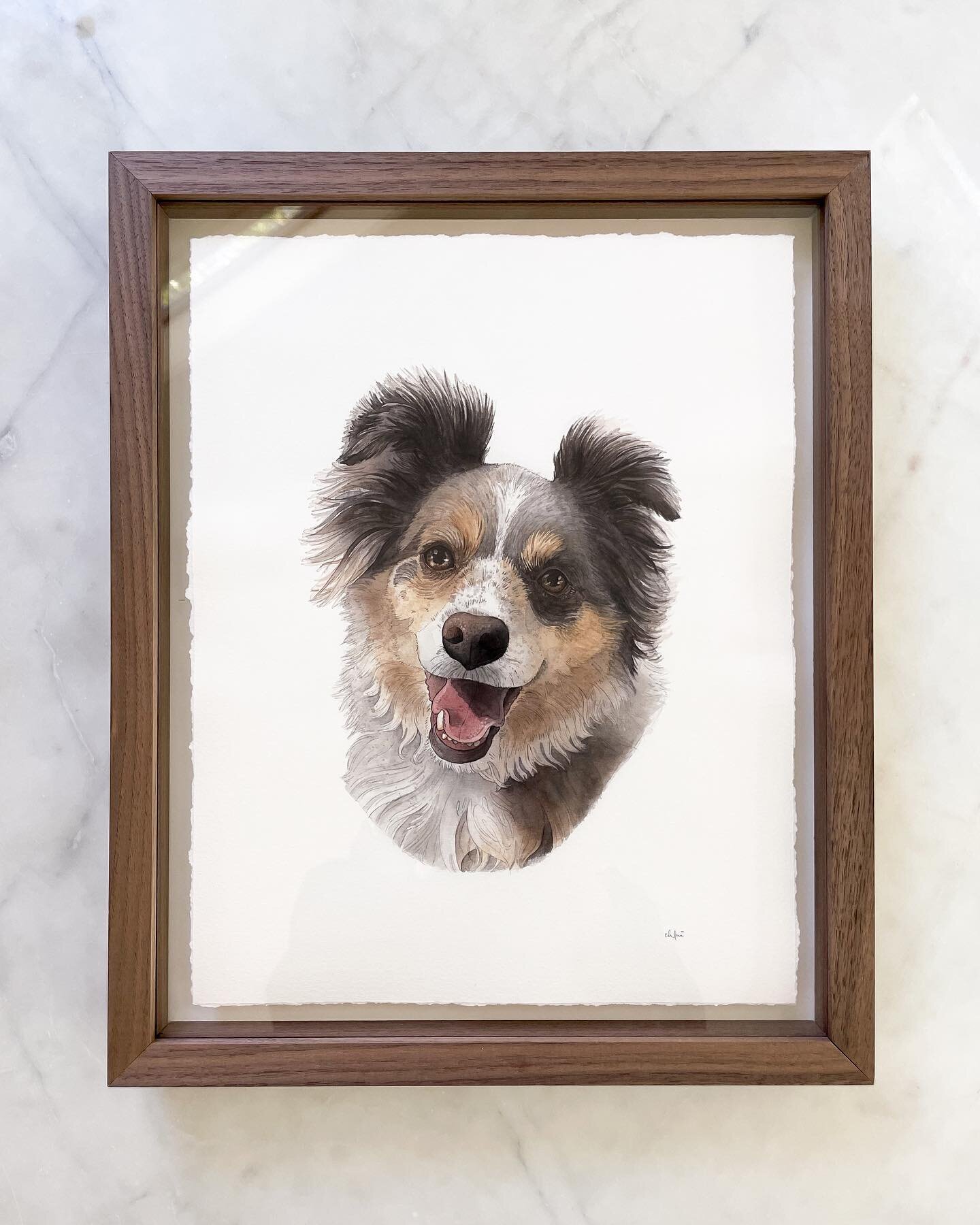 This is Avett! 🐶

➡️ Swipe to see the muse himself next to his portrait. 😆

I'm taking a little break from pet portraits and private commissions to create some new products and art pieces of my own. I always prioritize things with deadlines like pe