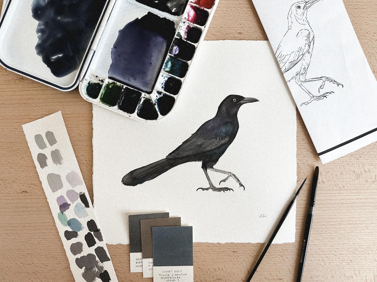 Grackles! Your favorite feathered HEB parking lot haunters add a bit of spooky charm to the Lone Star State, not just for Halloween, but all year long. 🖤✨

Stickers, prints, and the original of this piece are available to purchase. Link in bio!

Hap