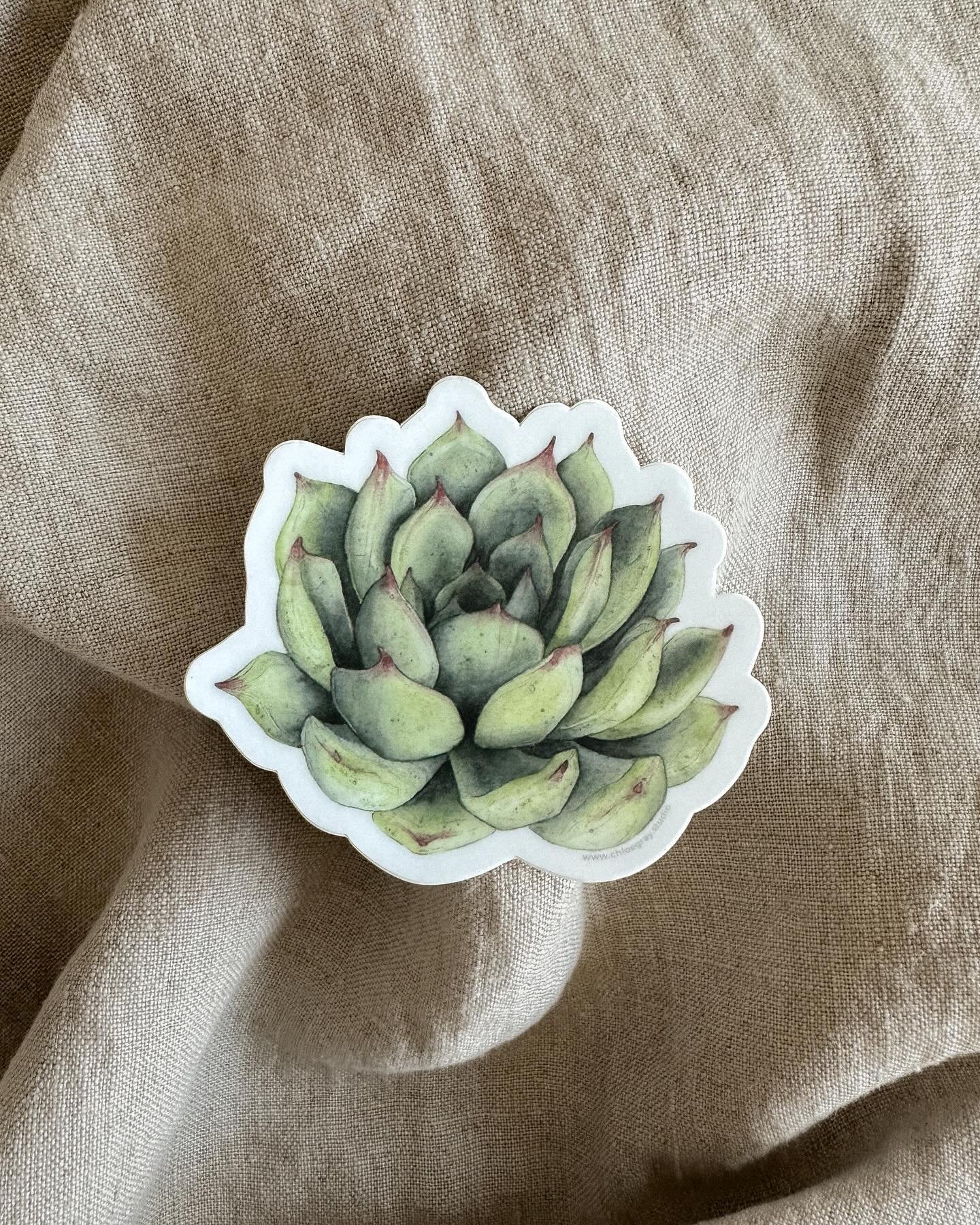 I still dream of a house full of plants, but with Cora I&rsquo;m realizing my weekends are better spent playing with her and taking time to rest rather than tending to my collection. As much as I love my leafy friends, I&rsquo;m learning to embrace s