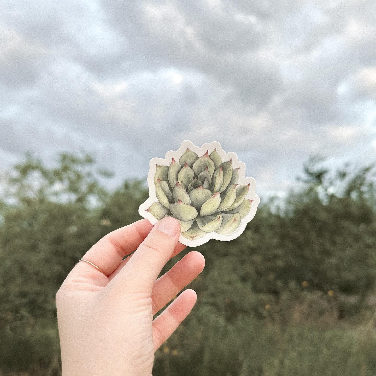 💚
