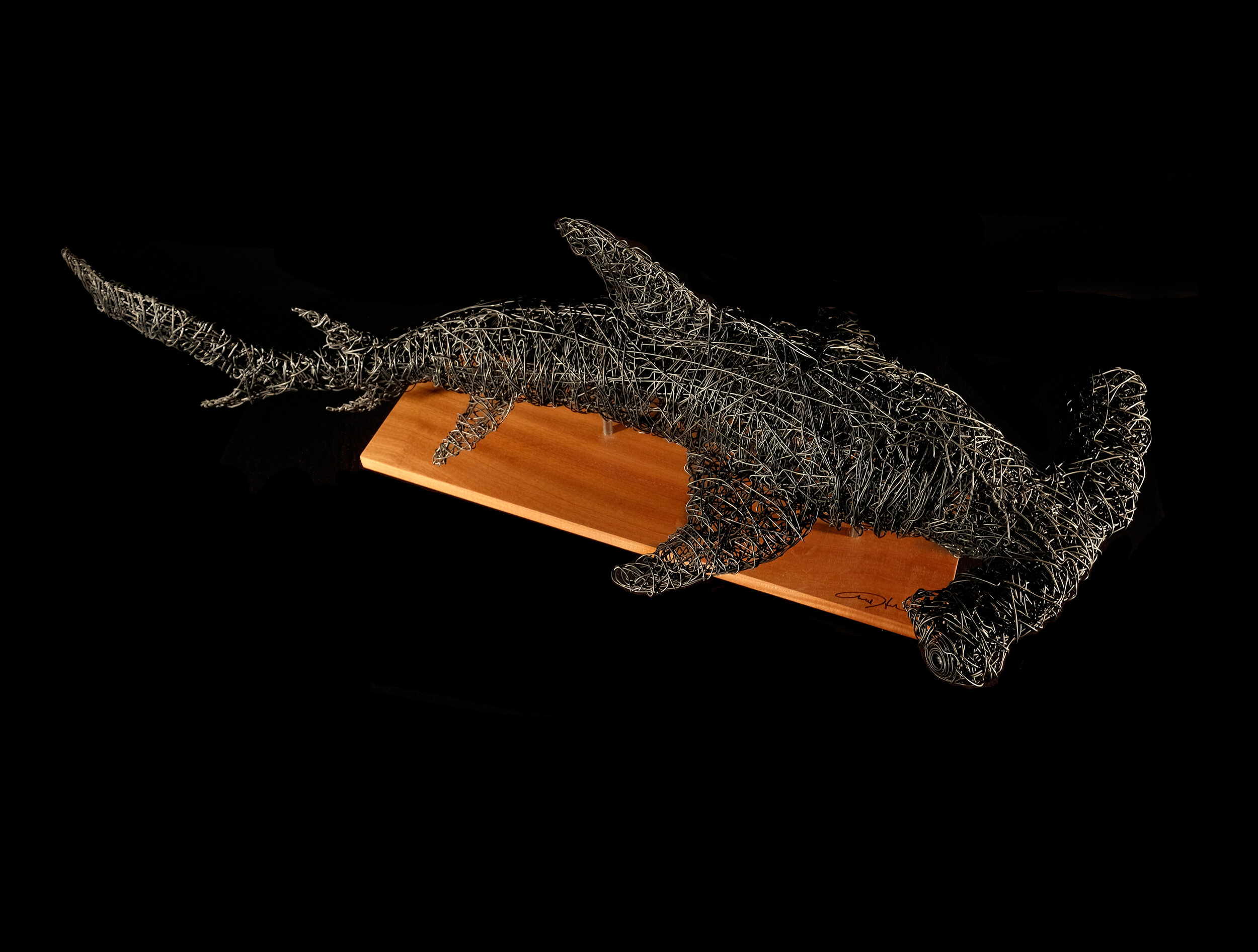 shark1d.jpg