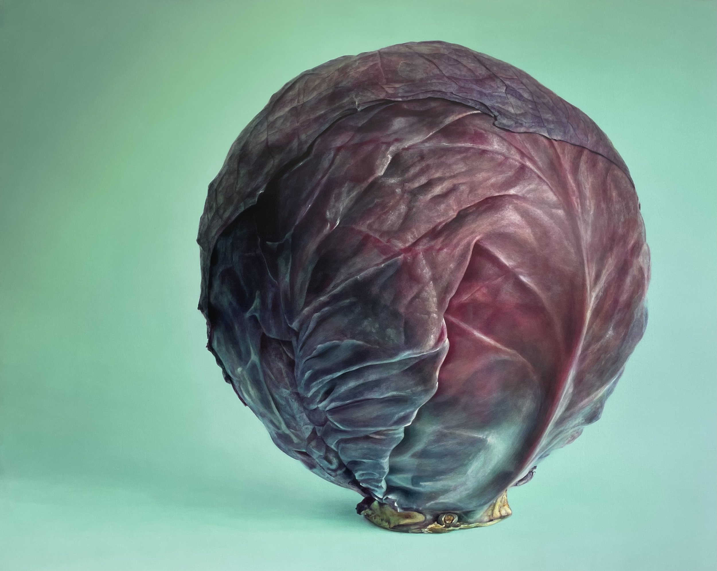 Red Cabbage on Seafoam Green
