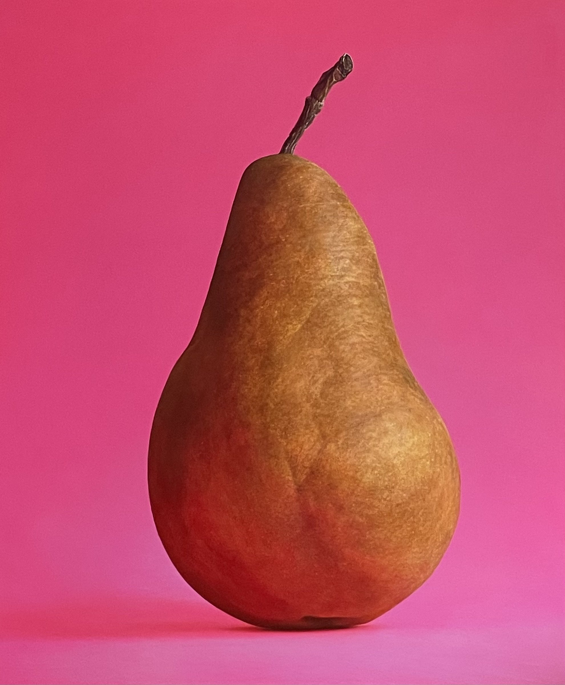 Bosc Pear on Fuchsia (sold)