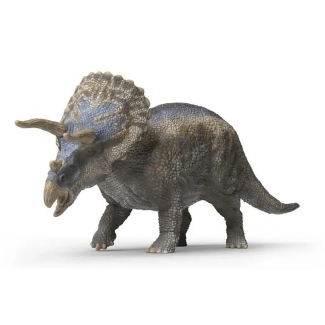 Triceratops.jpg