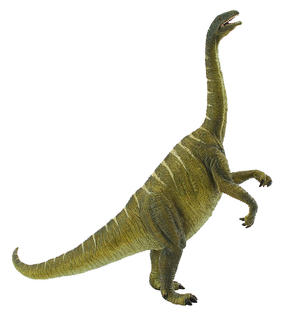 Procon Plateosaurus.png