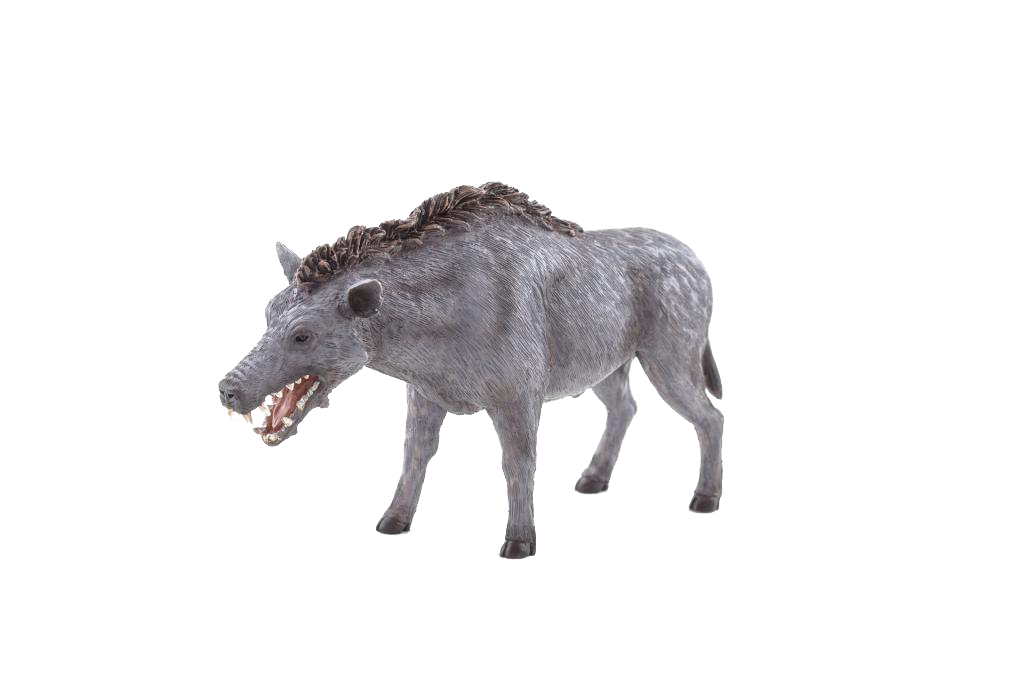 2013 Entelodont mojo-129.png
