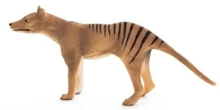 mojo_thylacine__94078_zoom.jpg