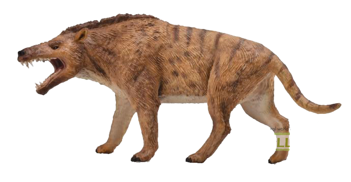 Collecta Deluxe Andrewsarchus