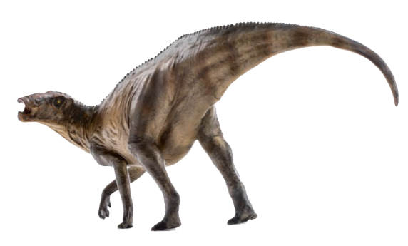 Shantungosaurus nobg.png