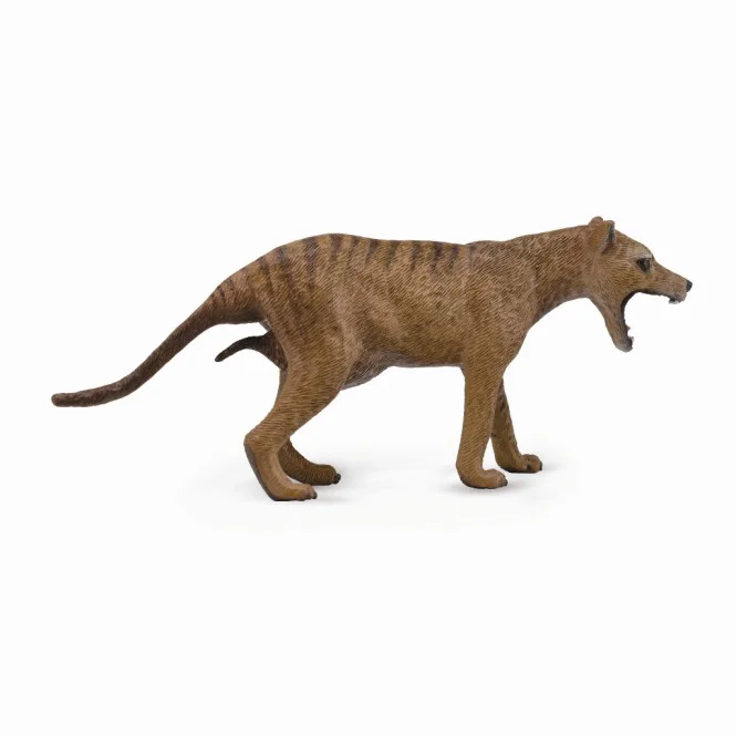 Thylacine-88767.jpg