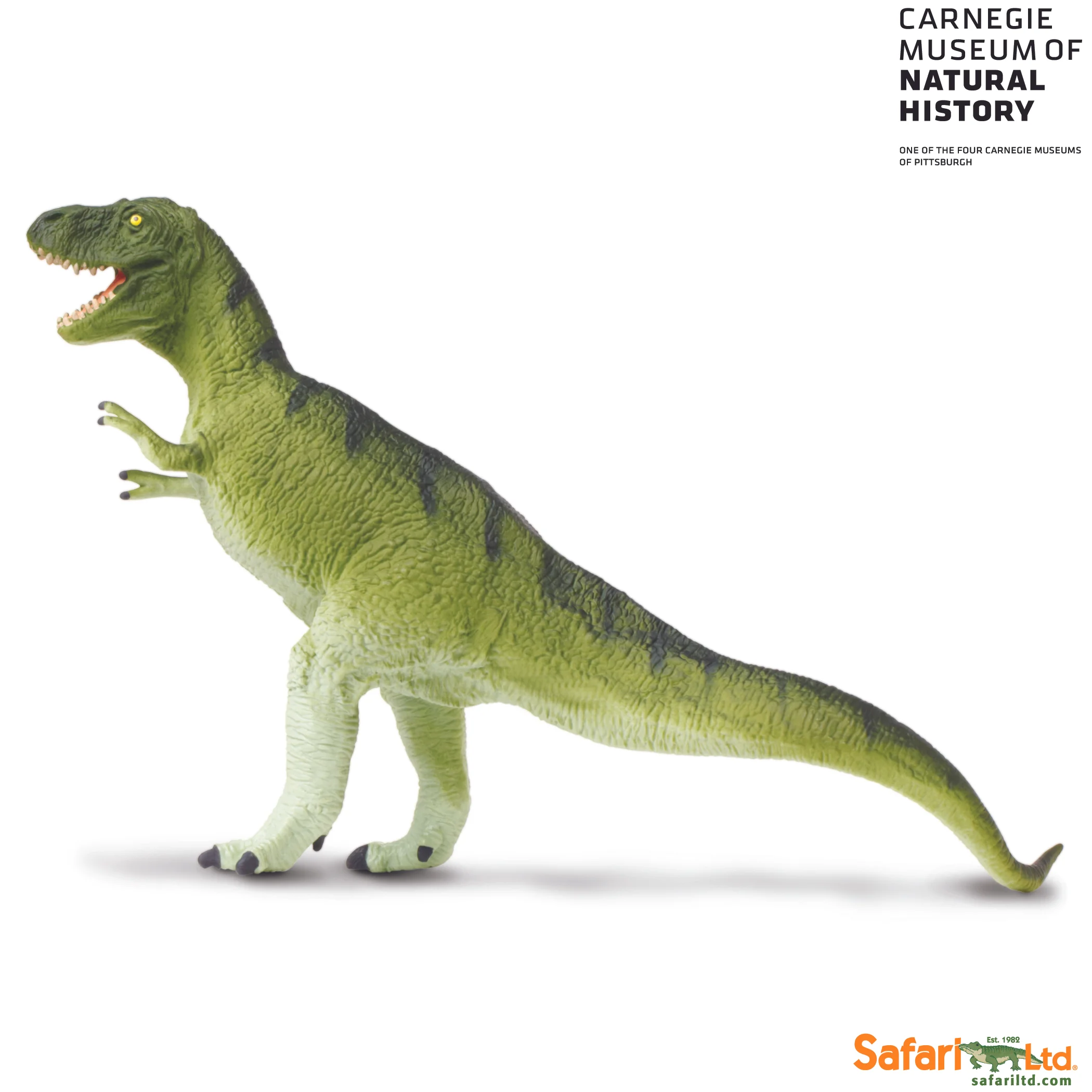safari ltd t rex