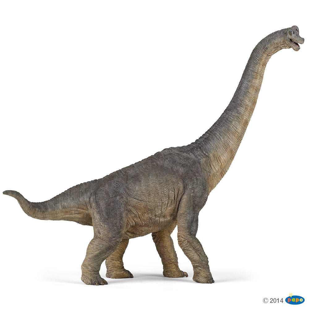 PAPO Dinosaurier NEU BRACHIOSAURUS 55030 