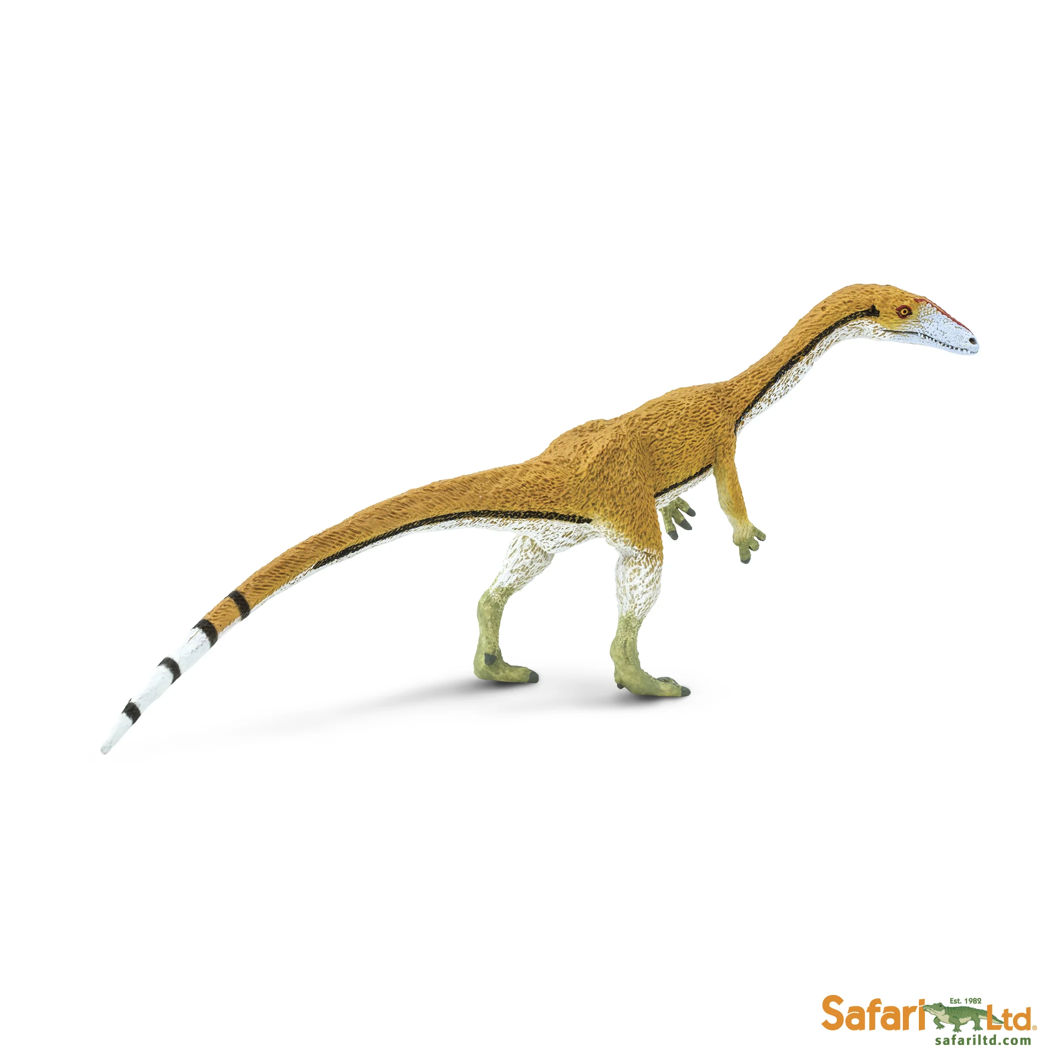 304529 Coelophysis.jpg