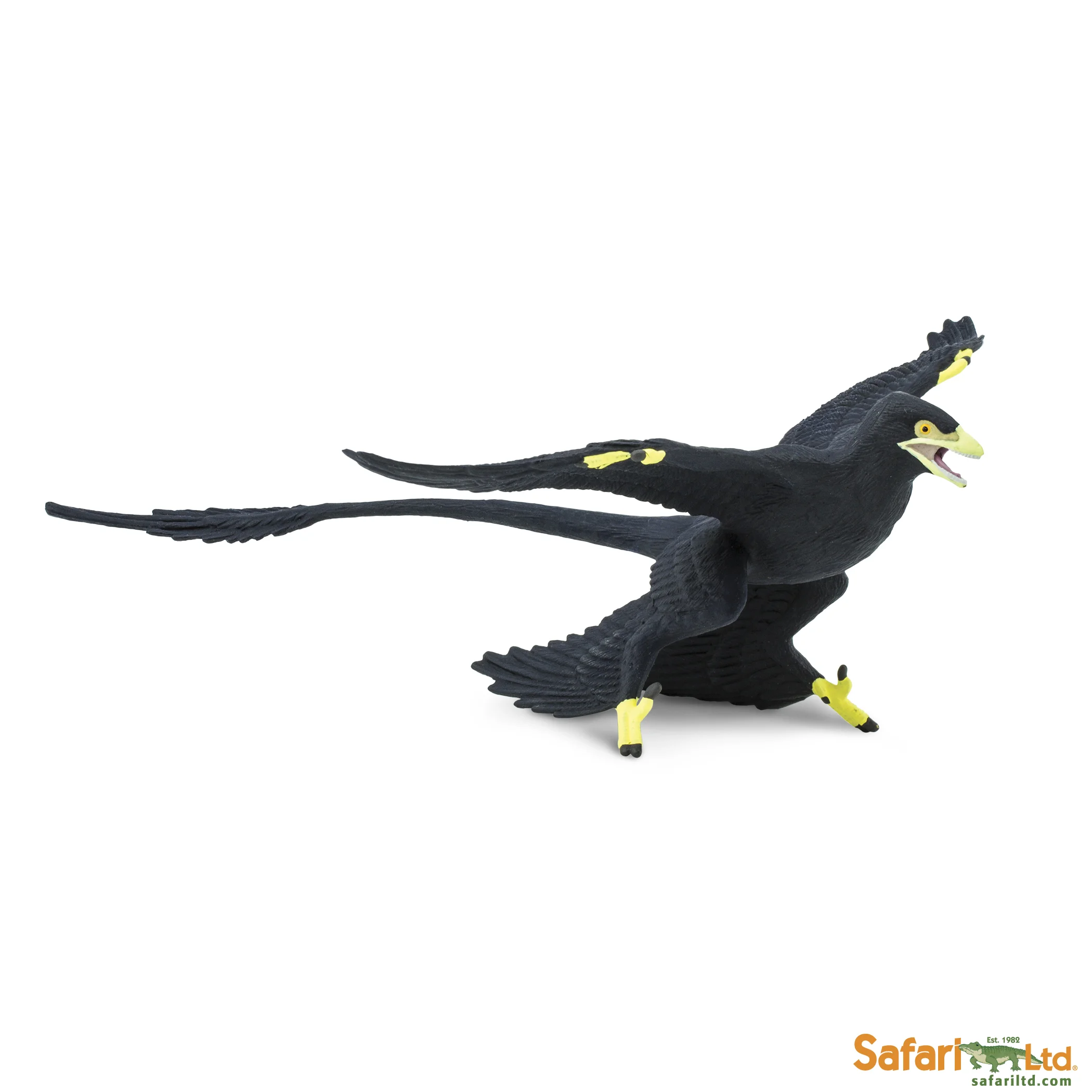 304129 Microraptor.jpg
