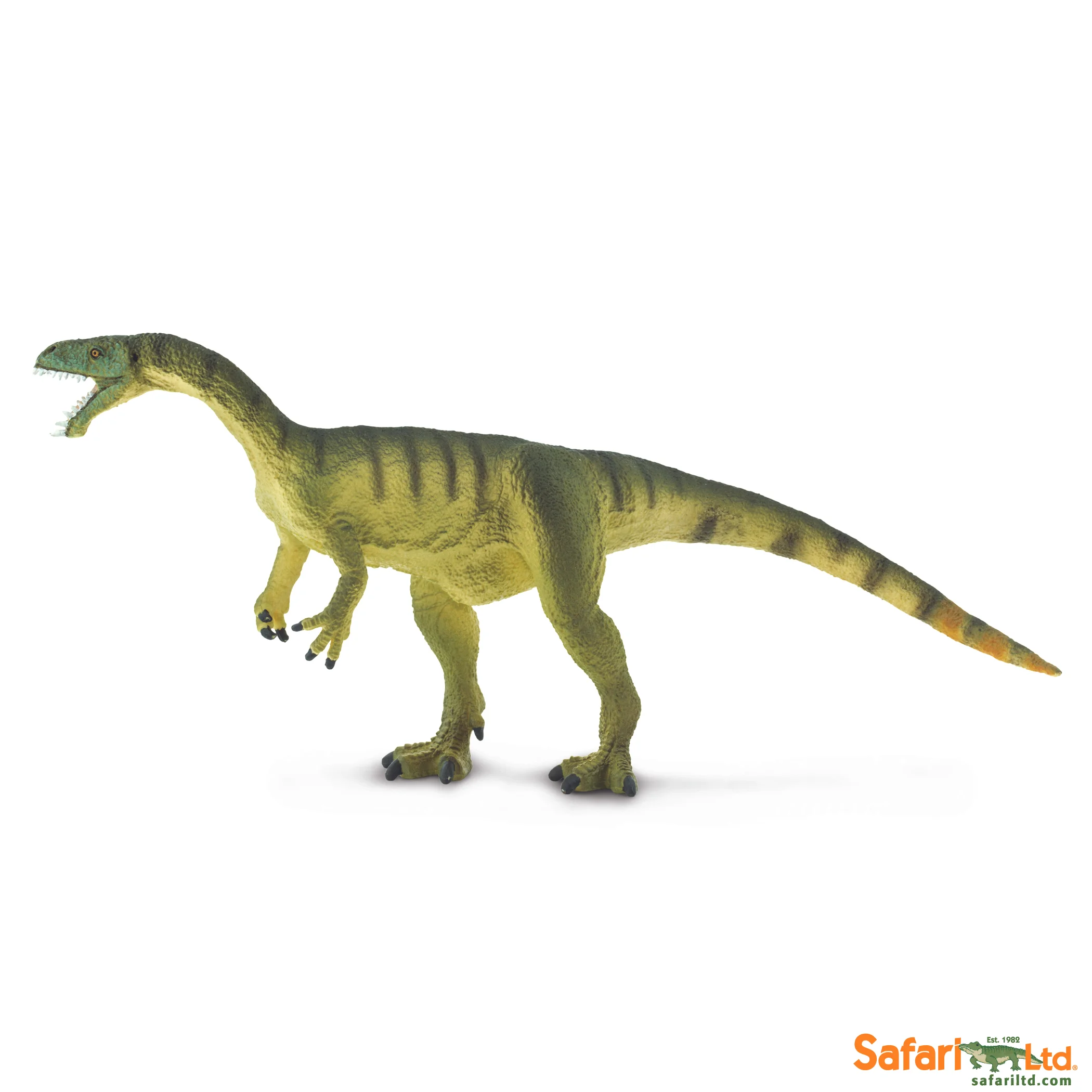 305329 Masiakasaurus.jpg