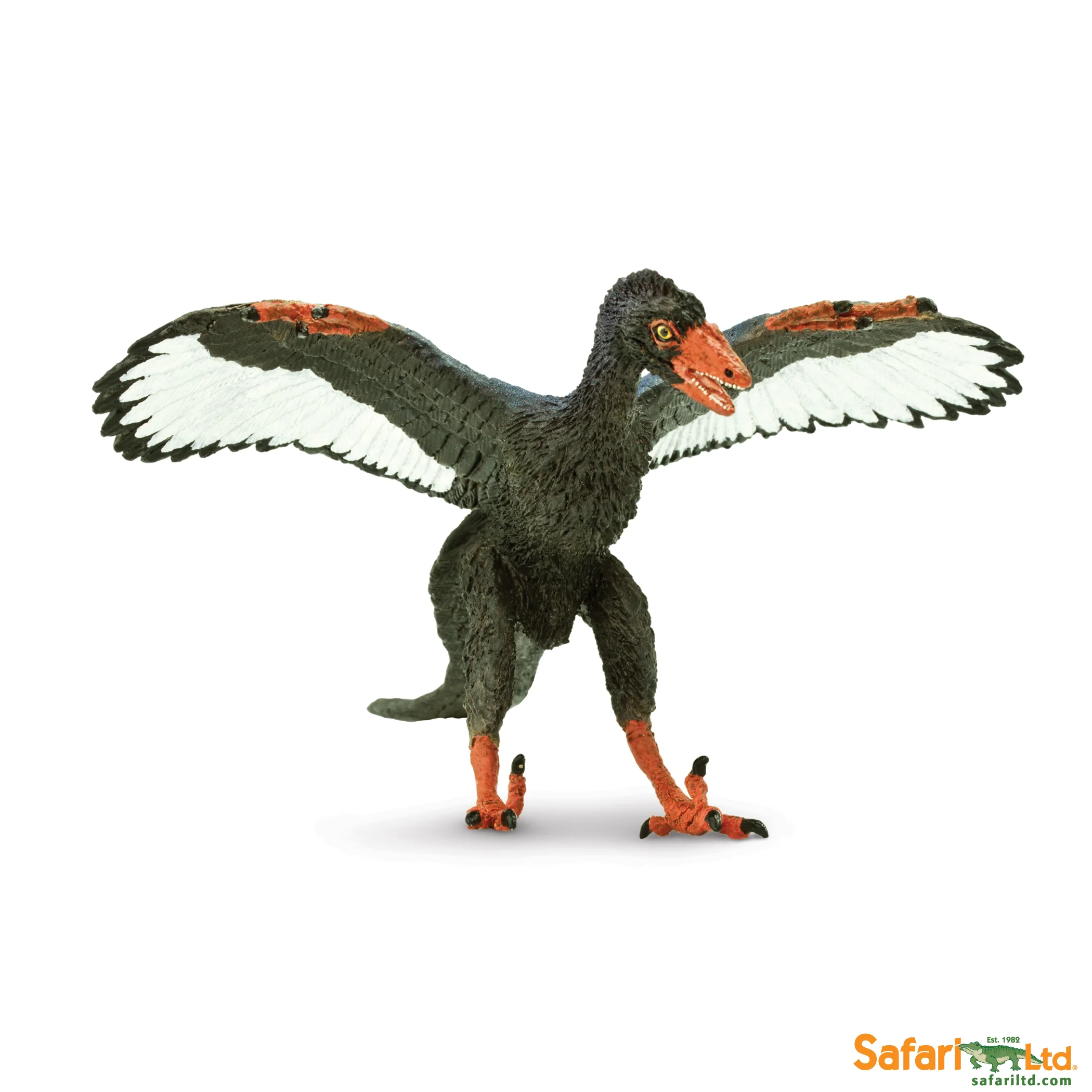 302829 Archaeopteryx.jpg