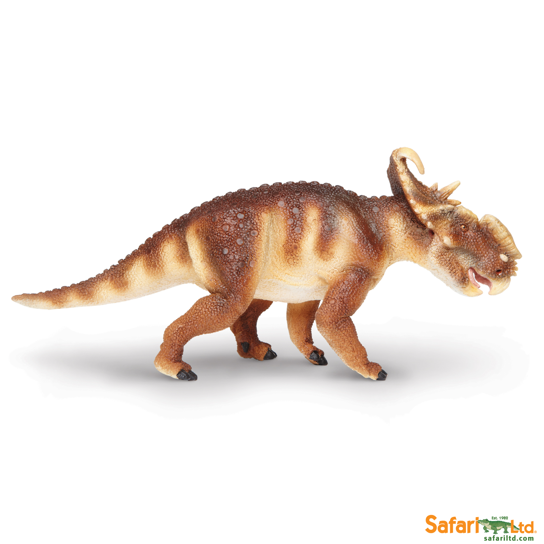 302729 Pachyrhinosaurus.jpg
