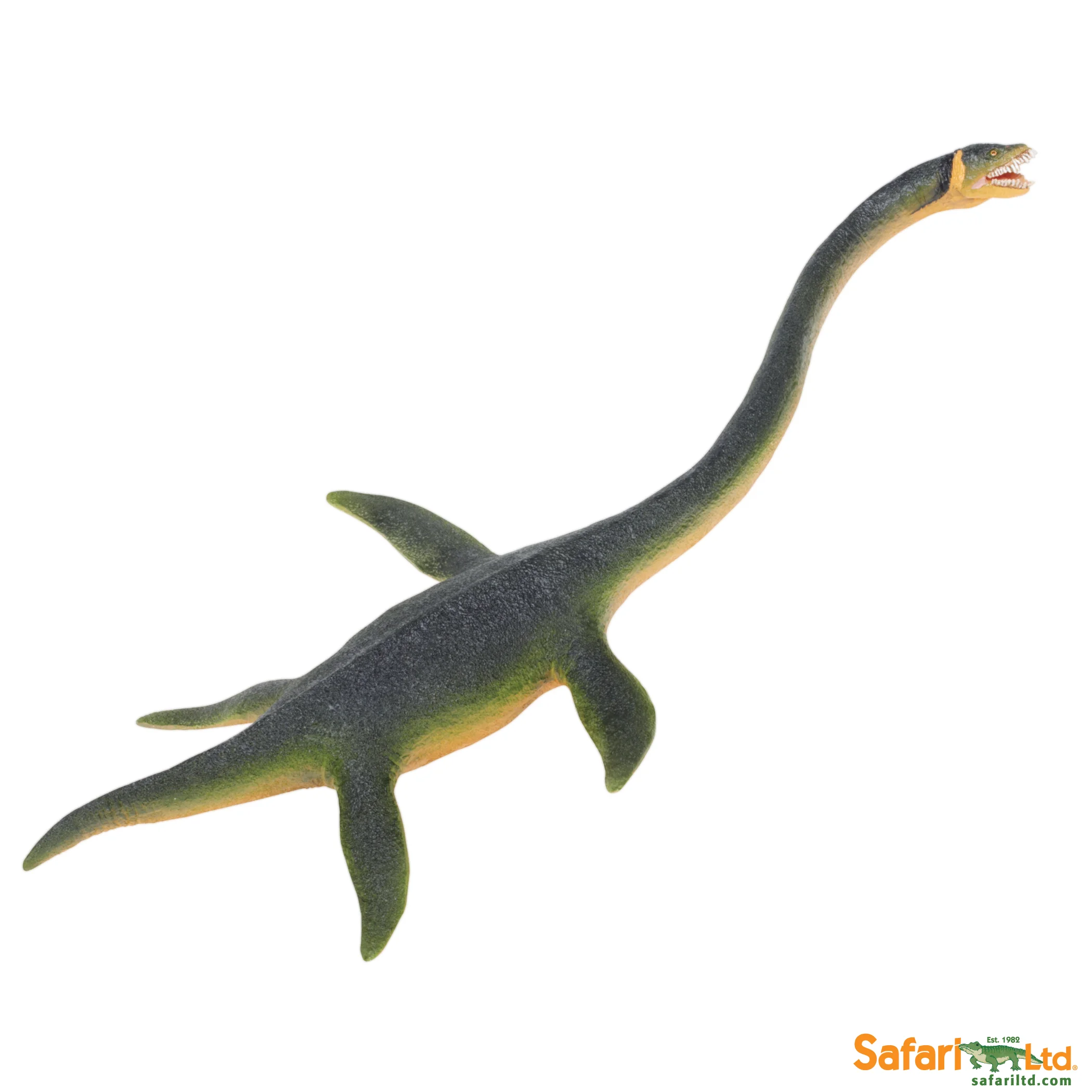 302429 Elasmosaurus.jpg
