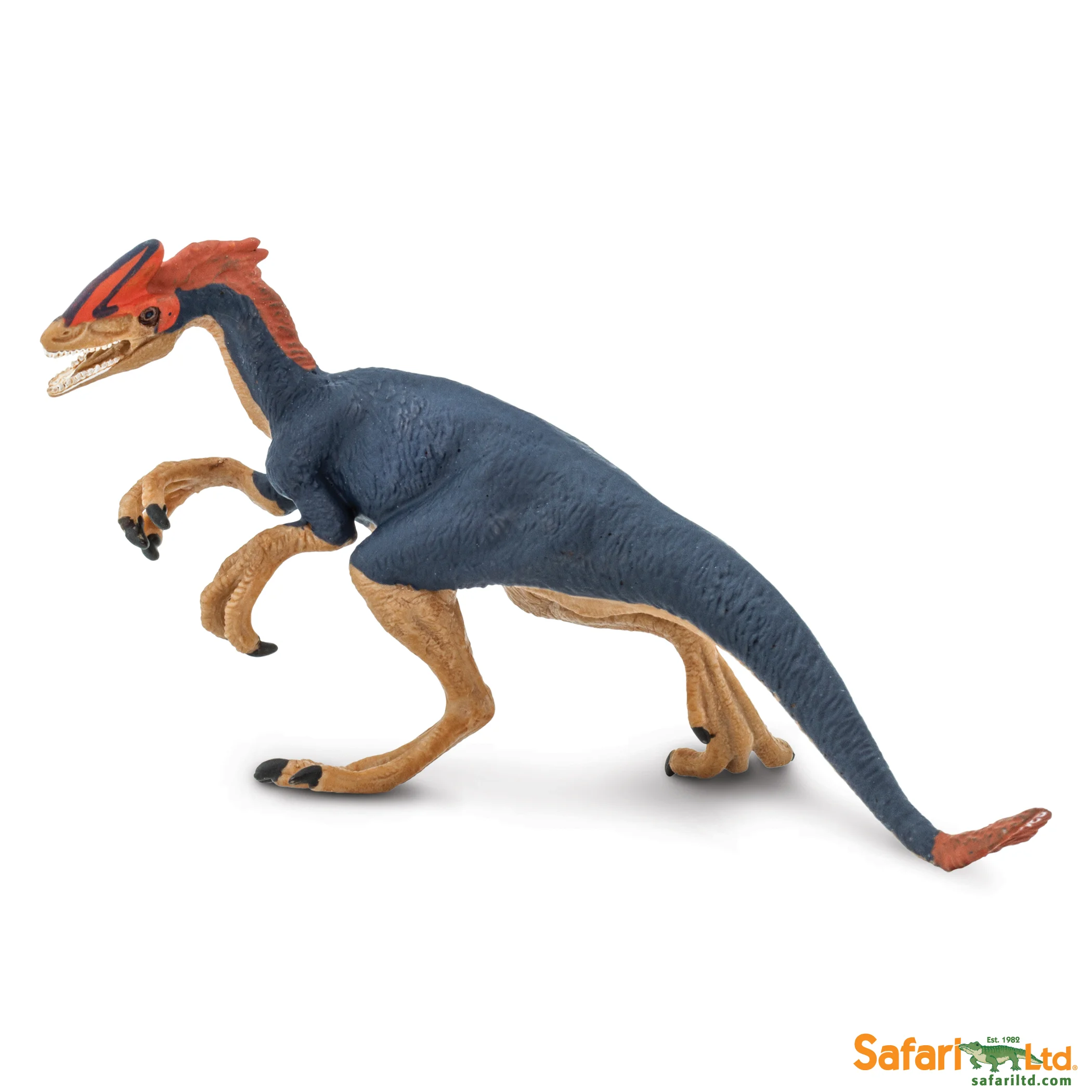 301029 Guanlong.jpg