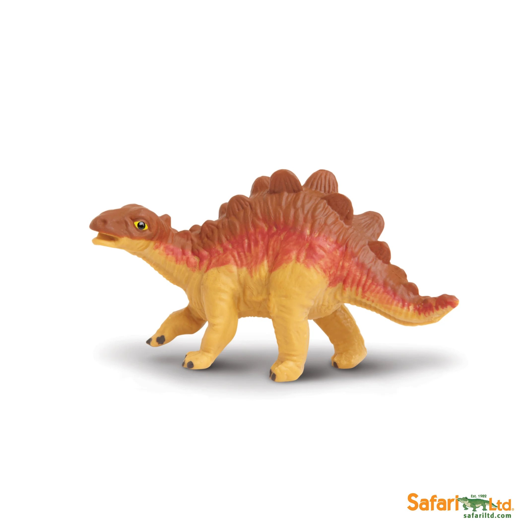 301729 Stegosaurus Baby.jpg