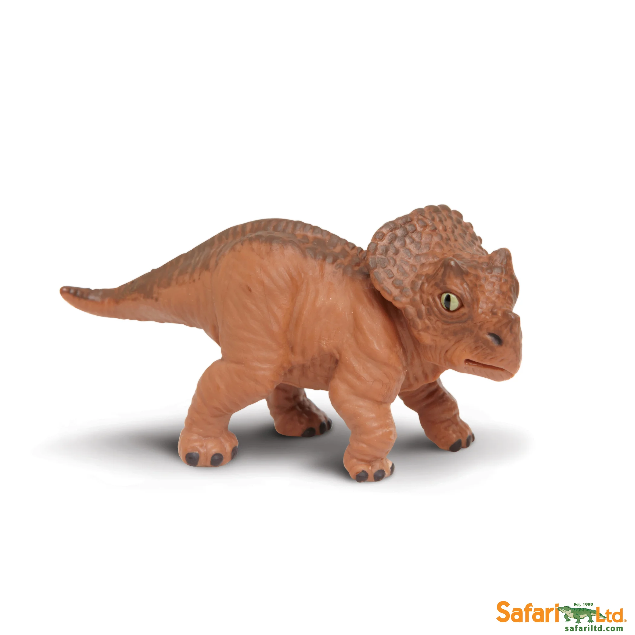 301929 Triceratops Baby.jpg