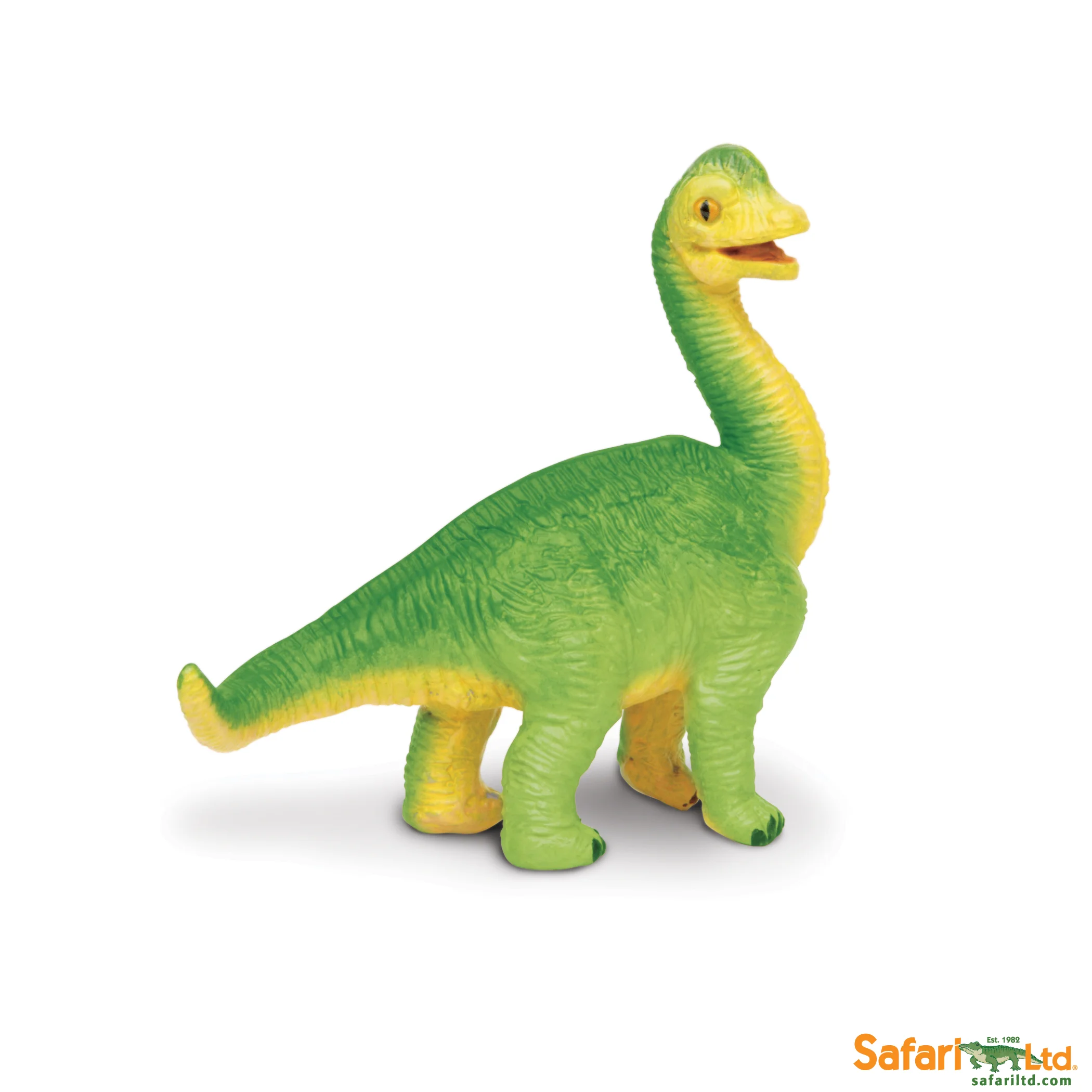 301229 Brachiosaurus Baby.jpg