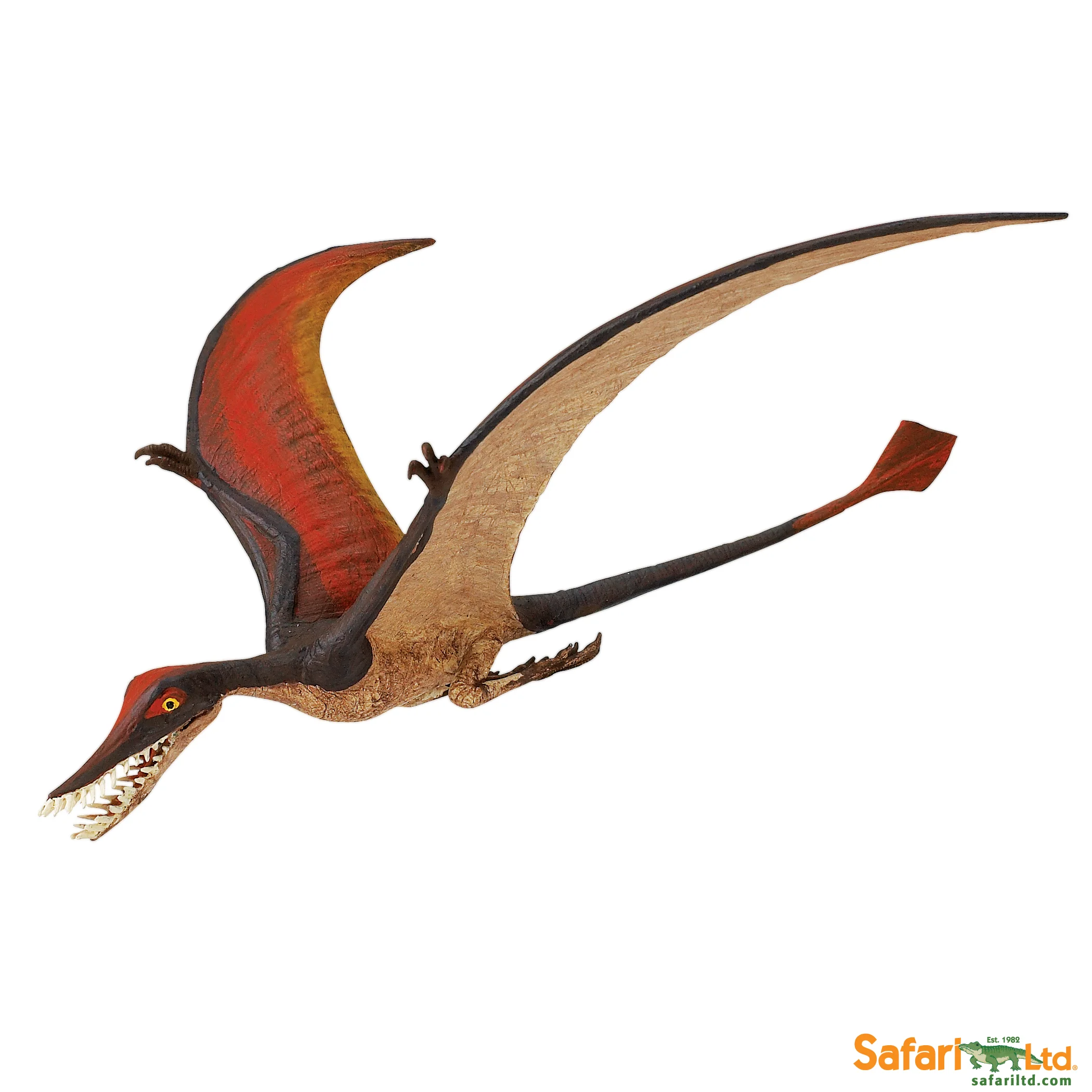 300329 Rhamphorhynchus.jpg