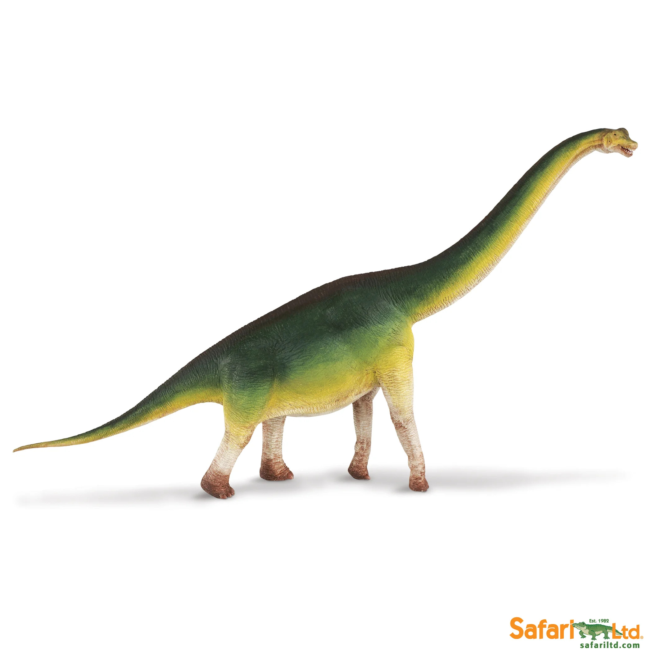 300229 Brachiosaurus.jpg