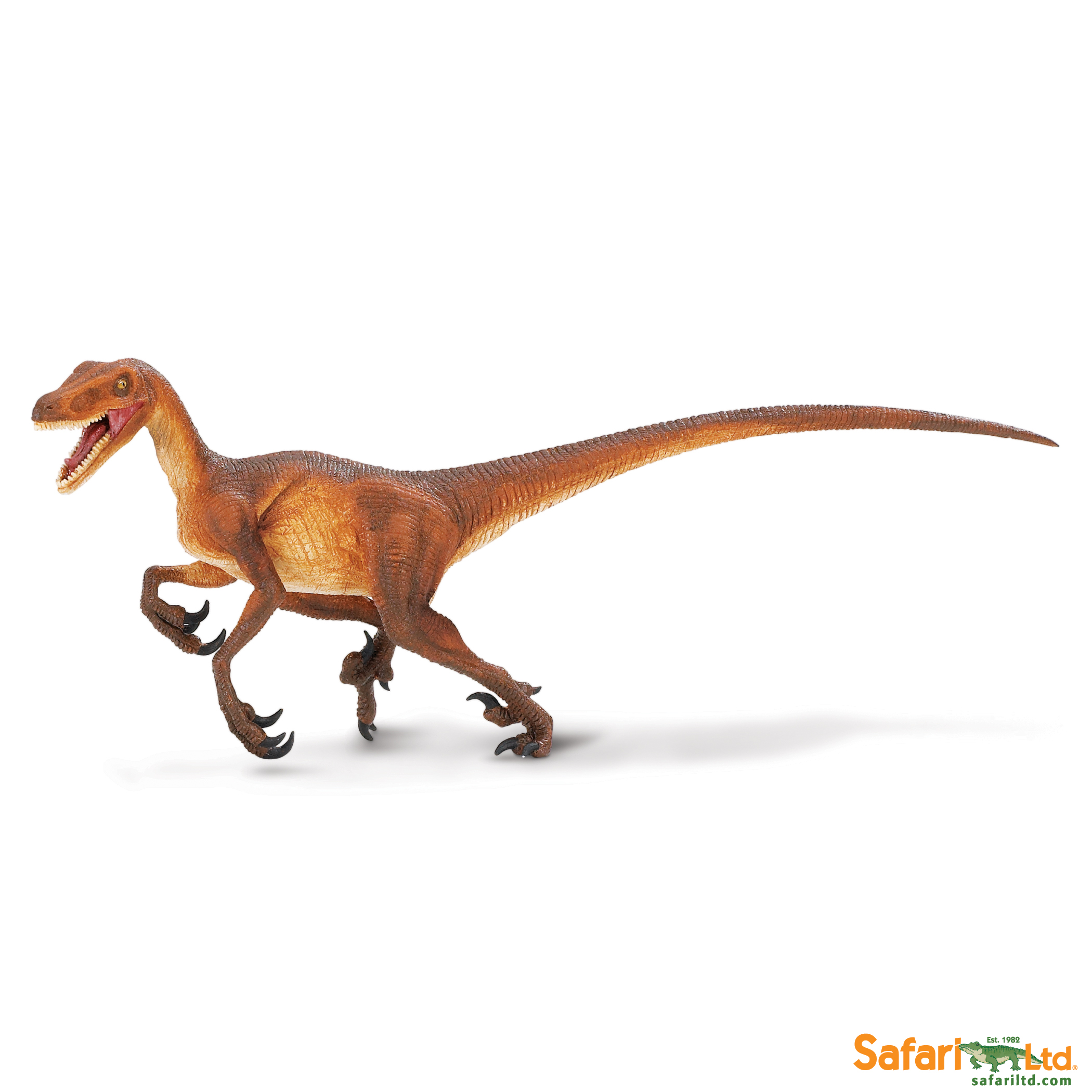 299929 Velociraptor.jpg